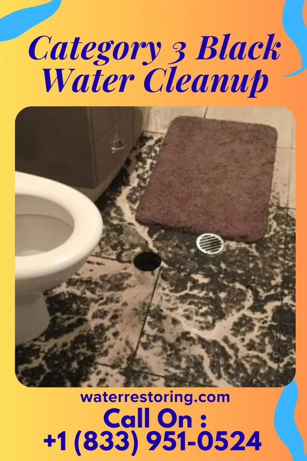 Category 3 Black Water Cleanup in South Ashburnham, MA