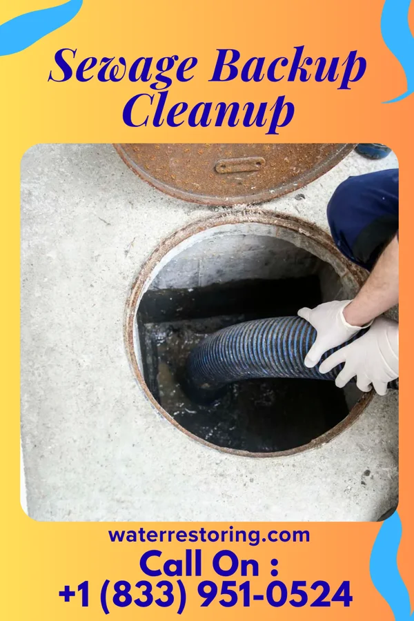 Sewage Backup Cleanup in South Ashburnham, MA