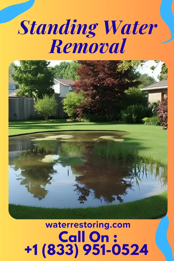 Standing Water Removal in South Ashburnham, MA